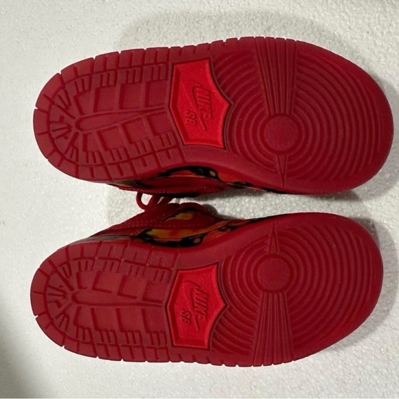 The Wizard of oz x Nike Dunk Low SB 'Poppy Field' Size 9C
No Box - Picture 6 of 7